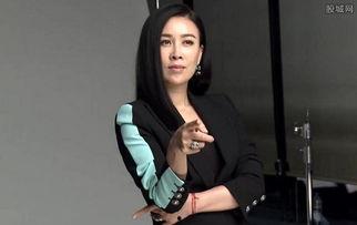 那英事件视频在线观看,网络热议背后的真相揭晓  第2张